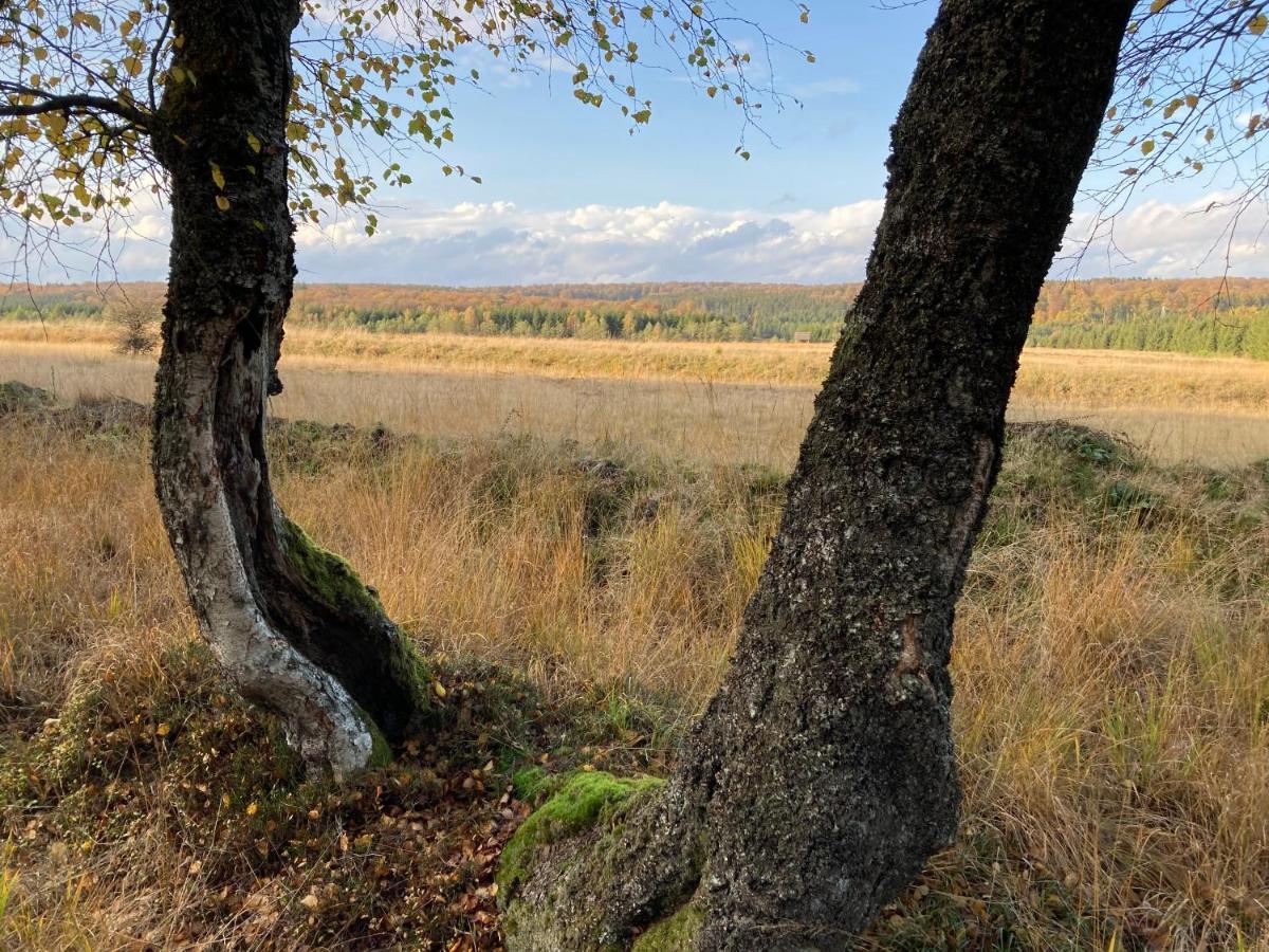 Le Relais Du Moustier Lägenhet Grune Exteriör bild