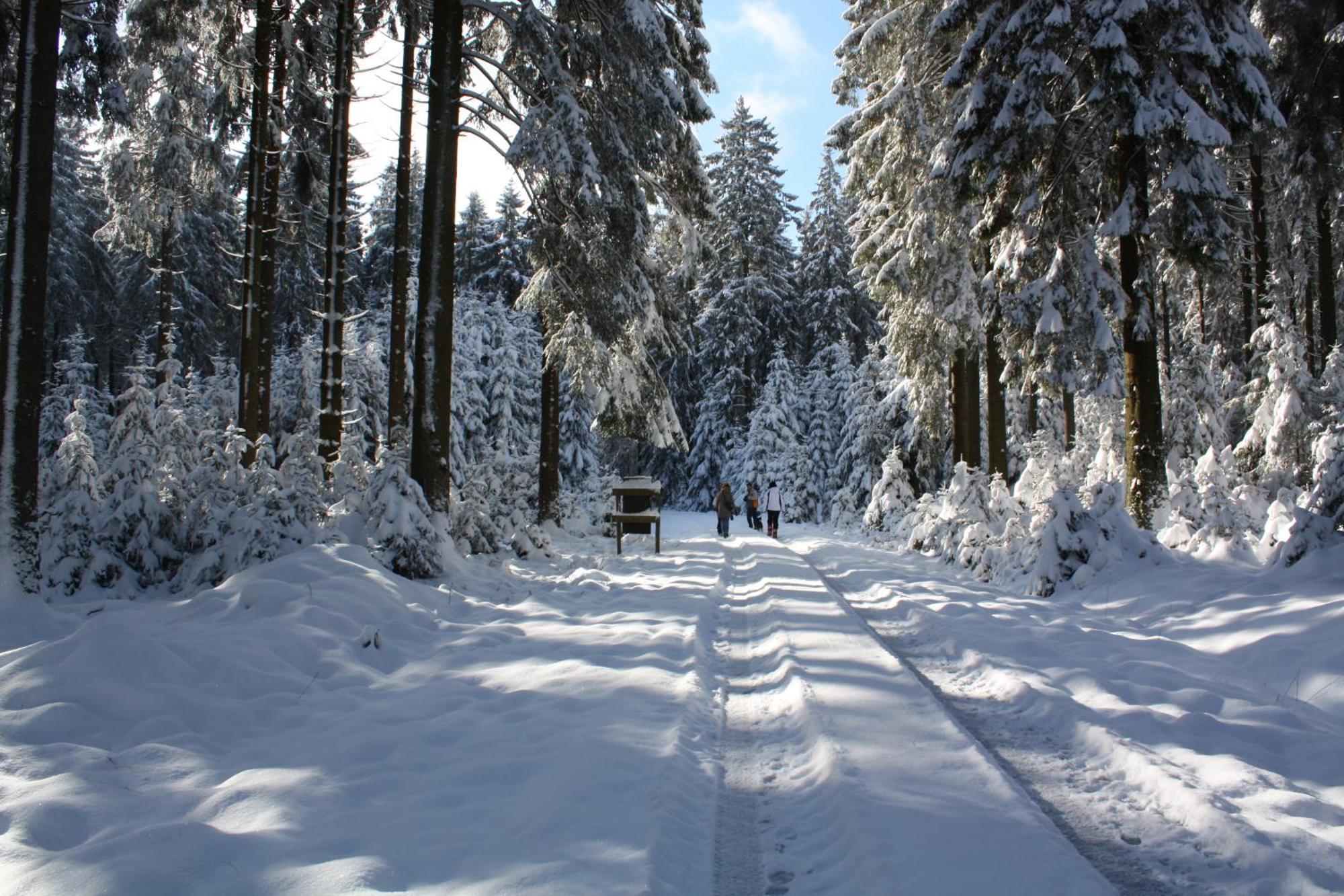 Le Relais Du Moustier Lägenhet Grune Exteriör bild