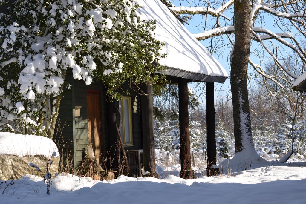 Le Relais Du Moustier Lägenhet Grune Exteriör bild